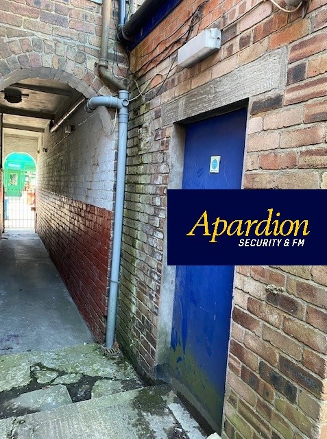 Vulnerable entry site inspection