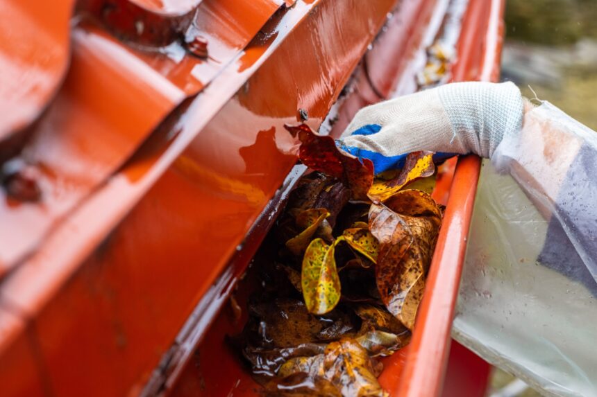 A man pulls a large pile of wet autumn leaves from a clogged gutter during a rainstorm A man pulls a large pile of wet autumn leaves from a clogged gutter during a rainstorm